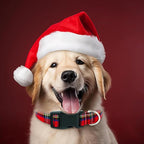 Tunkoo Christmas Plaid Dog Collar, Cute Adjustable Red Collar for Boy and Girl Dogs, Dog Collar with Strong Plastic Buckle - for Small Medium Large Pets, L