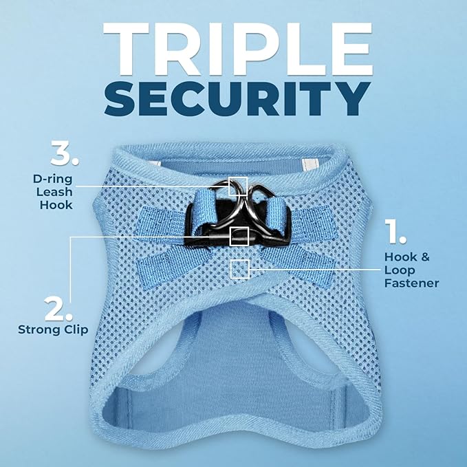 Best Pet Supplies Voyager Step-in Air Harness - All Weather Mesh, Reflective, No Pull Harness for Dogs, Cats - Secure with Hook & Loop Fastener, Buckle, Double D-Rings - Baby Blue, XXS