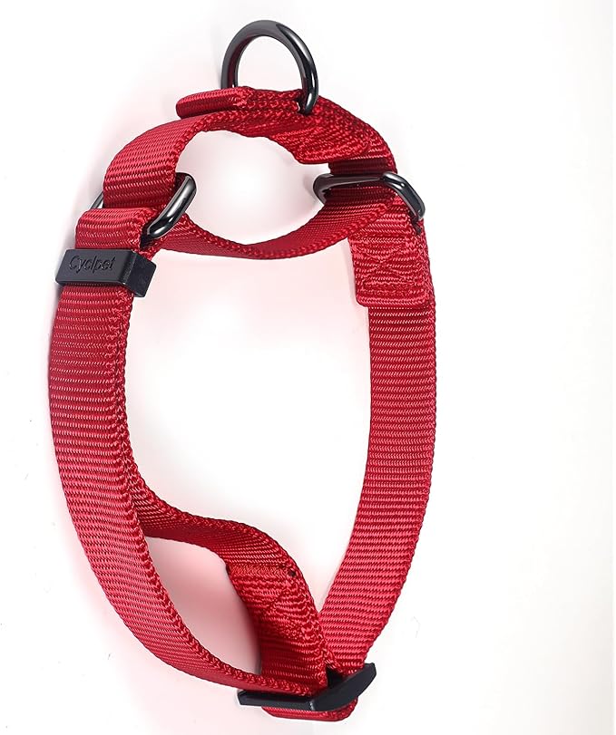 Premium Nylon Adjustable Anti-Escape Martingale Dog Collars,Comfort and Durable Dog Collar with Sturdy D-Ring for Small Breed Dogs Daily Helper. (Chili Pepper, Small)