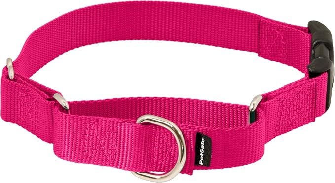 PetSafe Adjustable Martingale Collar - Improves Leash Manners - Escape Prevention - Gentle Behavior Training - Durable Nylon - Alternative to Choke Collar - Medium 3/4" - Raspberry Pink