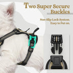 rabbitgoo Dog Harness No Pull with 2 Leash Clips, Adjustable Soft Padded, Reflective Oxford No Choke Pet Vest with Easy Control Handle for Puppy, Beige, XS