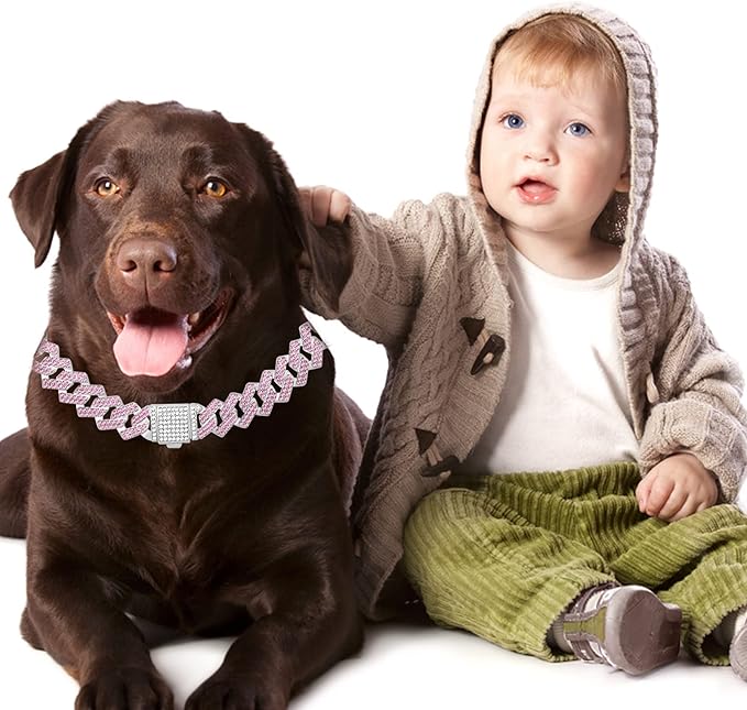 Metal Diamond Dog Chain Dog Training Chain with Secure Buckle Pet Collars for Large Medium Dogs