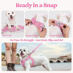rabbitgoo Dog Harness Small Sized and Leash Set, Step in Soft Light Puppy Vest, Breathable Mesh Pet Harness, Reflective for Safe Easy Walking, Pink & Plaid Trim XS