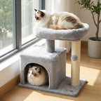 PETSITE 19.5-inch Small Cat Tree, with Sisal Scratching Post, Interactive Hanging Ball, Comfy Condo, and Spacious Top Perch, Ideal for Indoor Cats and Kittens (Grey)