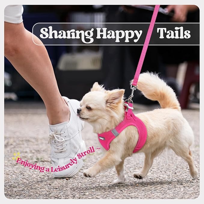 rabbitgoo Dog Harness Small Sized and Leash Set, Step in Soft Light Puppy Vest, Breathable Mesh Pet Harness, Reflective for Safe Easy Walking, Rose Red XS