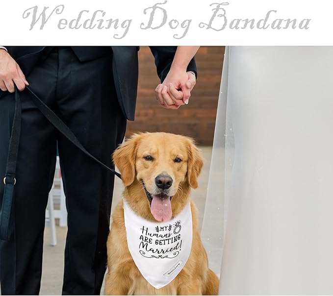 Realeaf Engagement Gift, My Humans are Getting Married Dog Bandana, Dog Wedding Outfit for Boy and Girl, Premium Durable Fabric, Dog Engagement Announcement for Small and Medium Dogs Pets (Small)