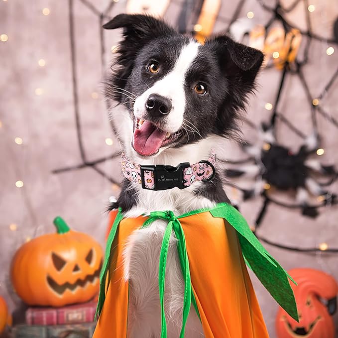 ARING PET Halloween Dog Collars, Cute Pink Pumpkin Ghost Bat Spider Skull Pet Collar with Quick Release Buckle for Small Medium Large Girl Boy Dogs-M