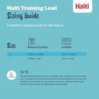 Halti Optifit Headcollar & Halti Training Leash Size Large, Black Combination Pack - Stop Your Dog Pulling on the Leash. Adjustable with Padded Nose Band. Suitable for Large Dogs