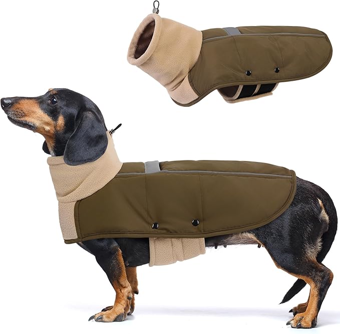 ASENKU Dog Coat, Dog Winter Jackets with Fleece Turtleneck, Windproof, Reflective Pet Snow Jacket Doggie Vest for Cold Weather, Coats for Medium Dogs, Army Green, M