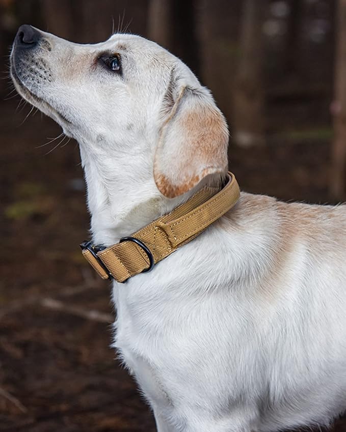 Tactical Dog Collar for Medium Large Dogs, Heavy Duty Dog Collars with Handle, Metal Buckle Dog Training Collar, Thick Large Military Dog Collar for Male. (L, Khaki)