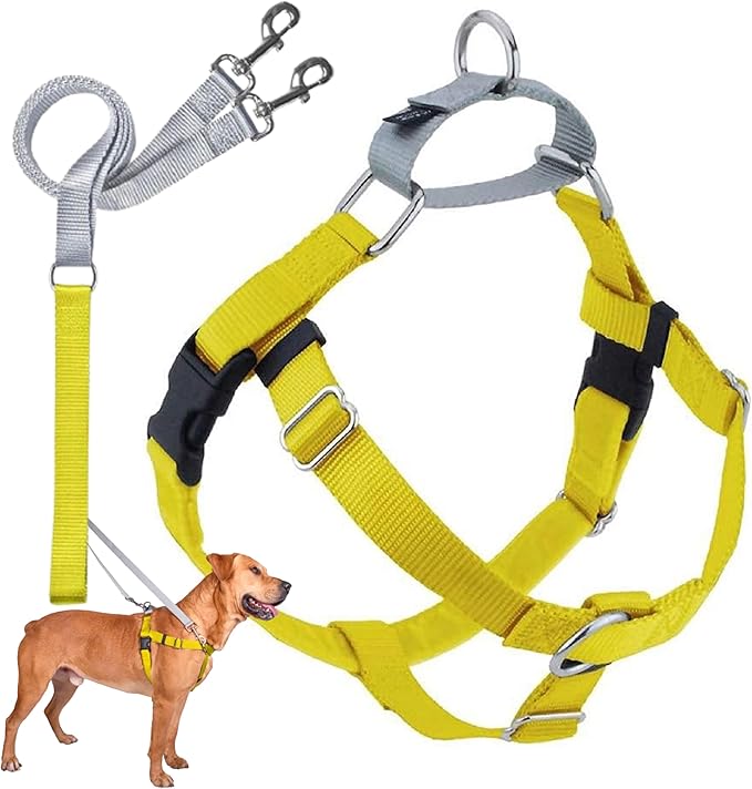 2 Hounds Design Freedom No Pull Dog Harness, Adjustable Harness and Leash Set, Easy Walking & Comfortable Control, Fits Small, Medium & Large Dogs, Solid Colors, Made in USA, 1" XXL, Yellow