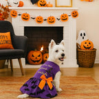 Abbylike 3 Pcs Seasonal Dog Outfits Christmas Halloween Thanksgiving Pet Costume Cotton Holiday Puppy Dress Lightweight Pet Apparel with Bowknot for Large Medium Cat Clothing, Large