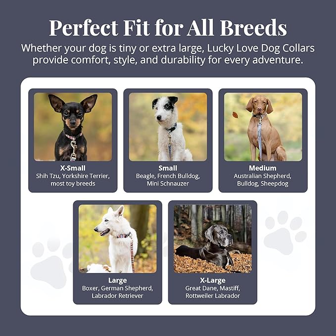 Lucky Love Dog - Adjustable Dog Collar with Easy Click Buckle for Small Dogs, Durable, & Comfortable Collar for Male & Female Dogs, Pet Collar for Puppies & Adult Dogs - Zuzu, XS