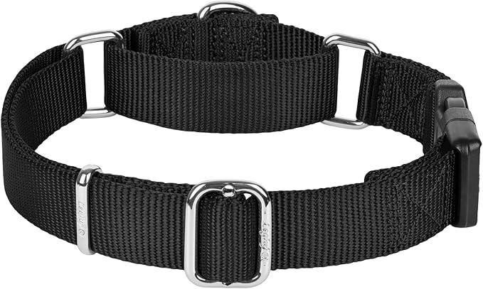 Martingale Collar for Dogs with Quick Release Buckle, Heavy-Duty Solid Color Nylon Training Collars - Adjustable No-Slip Design for Medium & Large Dog