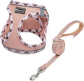 Mercano Soft Mesh Dog Harness and Leash Set, No-Chock Step-in Reflective Breathable Lightweight Easy Walk Vest Harnesses with Safety Buckle for Small Dogs, Cats (Champagne, XS)