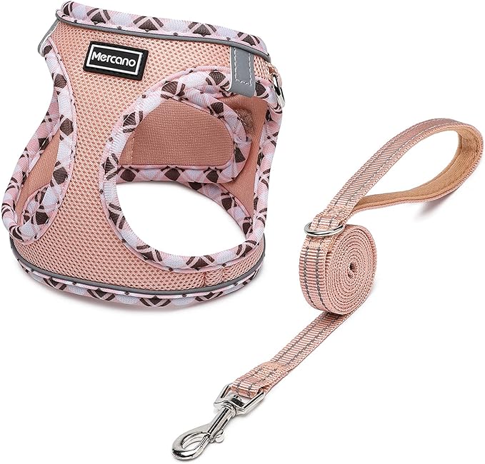 Mercano Soft Mesh Dog Harness and Leash Set, No-Chock Step-in Reflective Breathable Lightweight Easy Walk Vest Harnesses with Safety Buckle for Small Dogs, Cats (Champagne, XS)