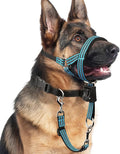 BARKLESS No Pull Dog Head Collar for Gentle Training Walking, Soft Padded Head Halter with Collar Safety Clip, Comfortable Fit Muzzle Leash with Reflective Strap for Medium Large Dog (Blue, XL)