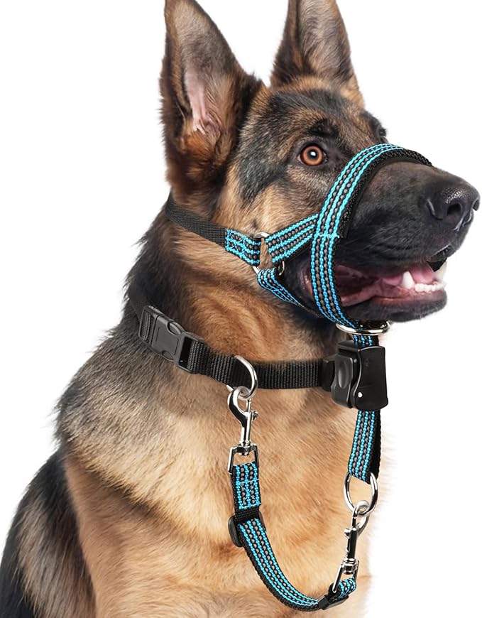 BARKLESS No Pull Dog Head Collar for Gentle Training Walking, Soft Padded Head Halter with Collar Safety Clip, Comfortable Fit Muzzle Leash with Reflective Strap for Medium Large Dog (Blue, L)
