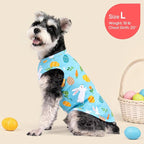 KYEESE 2Pack Easter Dog Shirt, Breathable Tank Top Sleeveless Dog T Shirts for Small Dogs Boy Girl, Lightweight Dogs Clothes Pet Outfit for Holiday, Blue+Bunny, M