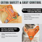 BARKBAY No Pull Dog Harness Large Reflective Dog Harness with Front Clip and Easy Control Handle for Walking Training Running with ID tag Pocket(Orange,XS)