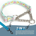 Heavy Duty Chain Dog Collar - No-Pull Martingale Choke Collar for Large Dogs, Adjustable Slip Training Collar for Secure Control(XL)