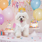Dog Birthday Dress It's My Birthday Dog Dress Small Doggy Girl's Tutu Dresses Ruffle Sleeless Puppy Clothes Tulle Lace Skirt Pet Costume Cat Outfits (White, S(6.5-12lb))
