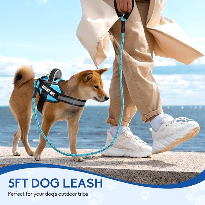Service Dog Vest Harness and Leash Set, Animire in Training Dog Harness with 10 Dog Patches, Reflective Dog Leash with Soft Padded Handle for Small, Medium, Large, and Extra-Large Dogs