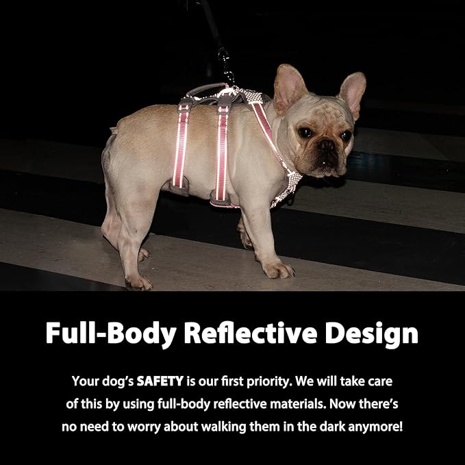 Huntboo Escape Proof Dog Harness, Secure Dog Harness No Escape, Fully Reflective Harness with Handle,Breathable,Durable, Adjustable Vest for Small Dogs Walking, Training,and Running Gear (Sea Blue,S)