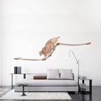 CatastrophiCreations Cat Multi-Level Raceway Hammock Wall Mounted Lounger for Climb and Play Furniture Cat Tree Shelves, Natural/Natural (LR11NANT)
