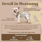 rabbitgoo Small Dog Harness, Step-in Soft Mesh Puppy Vest with Safety Buckle, Breathable Reflective Pet Harness for Small Sized Dogs, Brown & Beige S