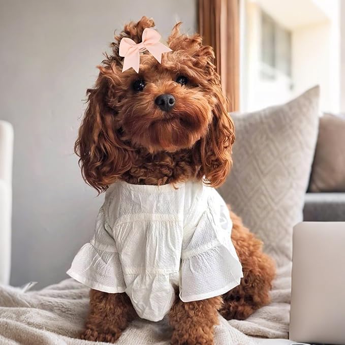 40PCS (20 Pairs) Dog Hair Bows with Rubber Bands, Puppy Bows for Small Size Pet Girls, Mix Colors Hair Ties, Dog Hair Accessories Girl for Daily Use Birthday(Type B)