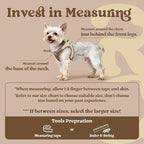 rabbitgoo Small Dog Harness, Step-in Soft Mesh Puppy Vest with Safety Buckle, Breathable Reflective Pet Harness for Small Sized Dogs, Brown & Beige XS