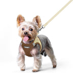 rabbitgoo Dog Harness Small Sized and Leash Set, Step in Soft Light Puppy Vest, Breathable Mesh Pet Harness, Reflective for Safe Easy Walking, Brown & Beige XS