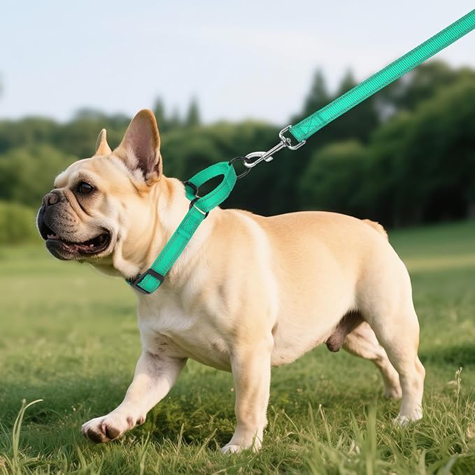 Martingale Collar for Dogs with Quick Release Buckle, Reflective Soft Padded & Escape Proof, Adjustable Nylon Dog Collars for Training & Daily Walking (Turquoise,S)