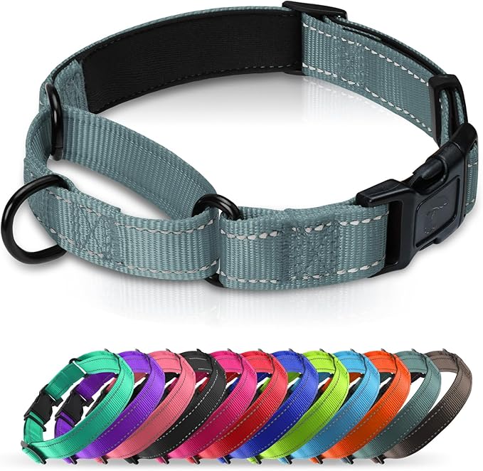 Martingale Collar for Dogs with Quick Release Buckle, Reflective Soft Padded & Escape Proof, Adjustable Nylon Dog Collars for Training & Daily Walking (Grey,M)