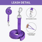 AMTOR Small Dog Harness with Leash Set, No Escape Easy Walk Puppy Harnesses for Training Walking, Step-in Reflective Soft Dogs Vest for XS S Medium Extra-Small Large Sized Dog(Purple,M)