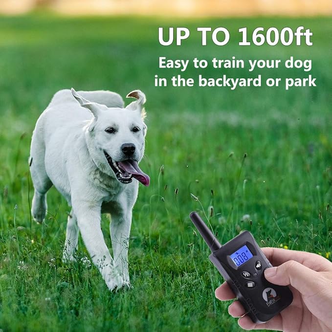 PaiPaitek No Shock Dog Training Collar with Remote, Lightest Vibration Collar for Small Dogs 5-15lbs & Medium Large Dogs, Rechargeable, Waterproof, 1600ft Range, No Prongs