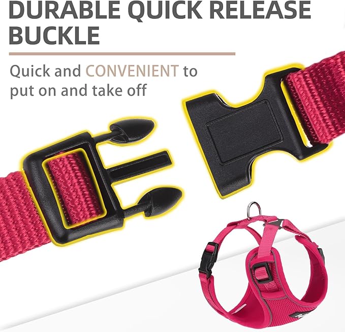 PUPTECK Small Dog Harness and Leash Set, No Pull Adjustable Puppy Cat Harness, Reflective Soft Mesh Pet Vest Small Sized, Fuchsia, M
