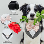 FUAMEY Dog Tuxedo for Medium Dogs,Dog Formal Suit Dogs Attire Pet Bow Tie Puppy Party Costumes Cat Tux Outfits Pets Bandana Cosplay Adjustable Bowties Wedding Birthday Valentines Grey M
