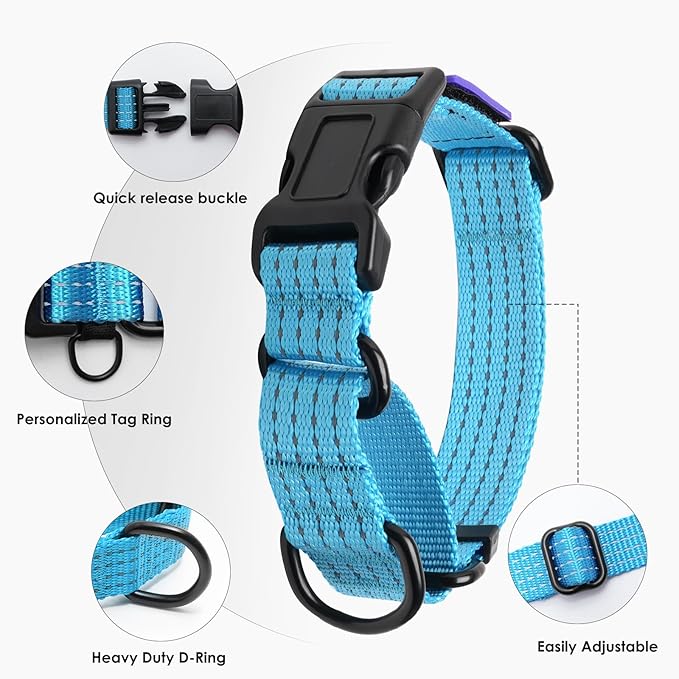 Martingale Collar for Dogs, Reflective Heavy Duty with Quick Release Nylon Buckle-USA Flag-No Pull Training Choker for Walking, Training, Sky Blue,M