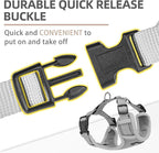 PUPTECK Small Dog Harness and Leash Set, No Pull Adjustable Puppy Cat Harness, Reflective Soft Mesh Pet Vest Small Sized, Grey, XS