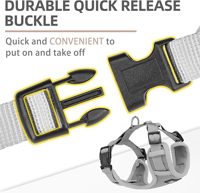 PUPTECK Small Dog Harness and Leash Set, No Pull Adjustable Puppy Cat Harness, Reflective Soft Mesh Pet Vest Small Sized, Grey, L
