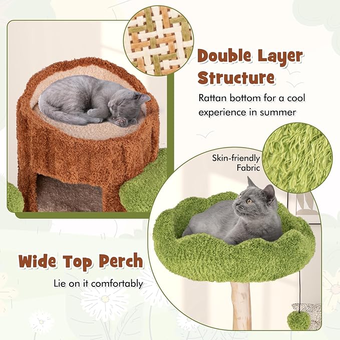 Tangkula Solid Wood Cat Tree, Cute Cat Tower with Scratching Posts, 2-Tier Tree Hole Cat Condo, Wood Branches, Sisal Panel, Top Perch, Platforms & Hanging Toy, Cat Tree for Indoor Cats Large Adult