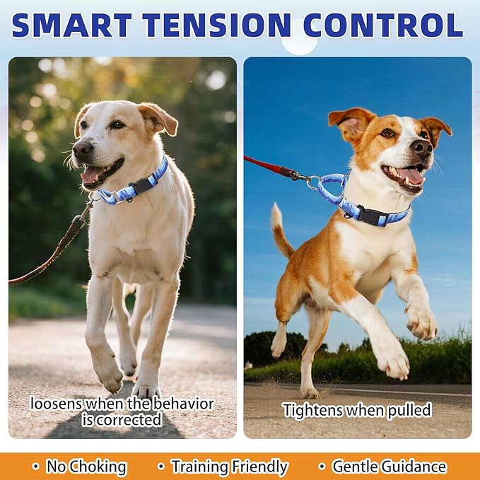 KOOLTAIL Martingale Collar for Dogs for Small Medium Large Dogs, Soft Padded Nylon No Pull Dog Collar with Buckle, Adjustable No Slip Heavy Duty Durable Puppy Training Collar for Boys Girls, Blue S