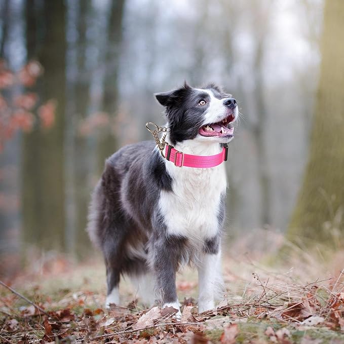 Martingale Dog Collar with Quick Release Buckle Steel Chain No Pull Training Reflective Collar for Medium Large Dogs(Pink, Large)