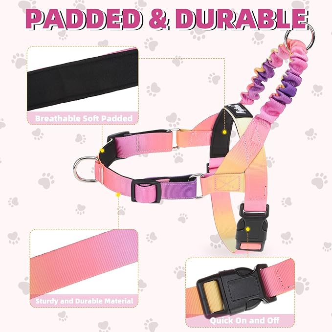 PUPTECK No Pull Dog Harness Small Sized Dog, Adjustable Reflective Pet Vest Harness with Bungee Handle, Escape Proof No Choke Harness for Small Dogs Walking Training, Pink & Purple M
