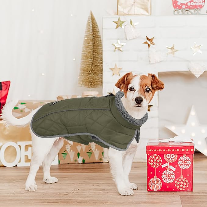 Fragralley Dog Coat Large, Waterproof Dog Jacket with Warm Fleece Lining, Adjustable Reflective Dogs Winter Coat, Turtleneck Pet Coats for Cold Weather (ArmyGreen XXL)