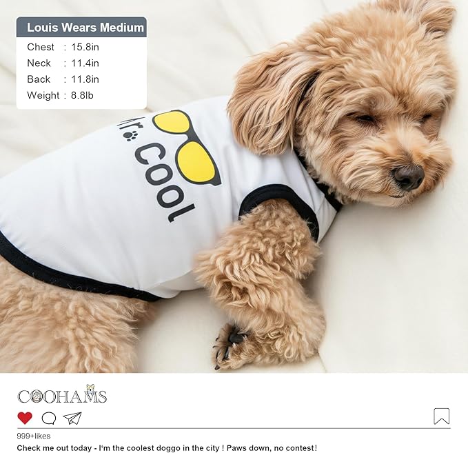 2Pack Dog Shirts for Boy, Dog Clothes (up to 38 lbs.), Puppy Clothes, Pet T Shirt for Small and Medium Breeds, Tank Top, Chihuahua & Yorkies & Dachshund Outfit, Cotton Fabric(2pcs,Large)