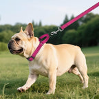 Martingale Collar for Dogs with Quick Release Buckle, Reflective Soft Padded & Escape Proof, Adjustable Nylon Dog Collars for Training & Daily Walking (Hotpink,S)