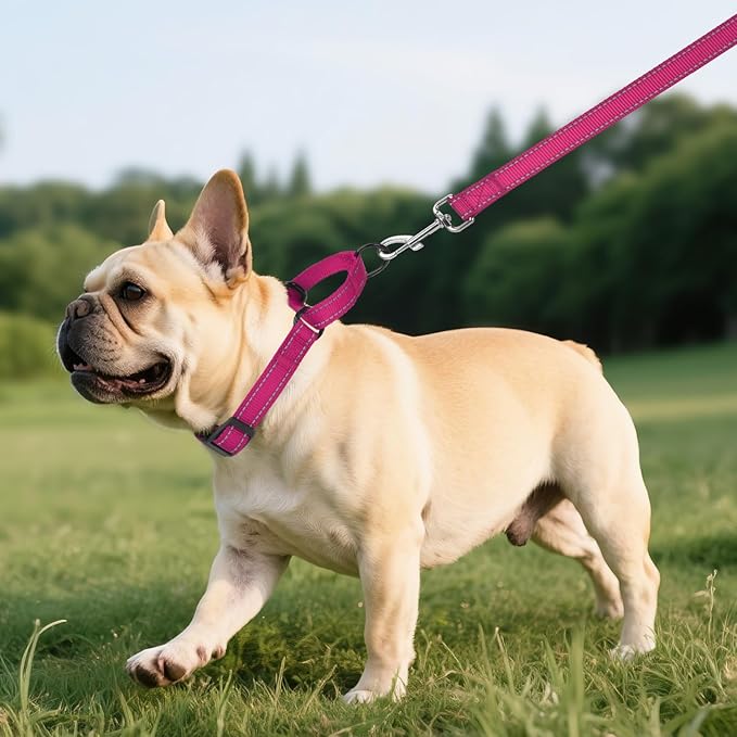 Martingale Collar for Dogs with Quick Release Buckle, Reflective Soft Padded & Escape Proof, Adjustable Nylon Dog Collars for Training & Daily Walking (Hotpink,S)